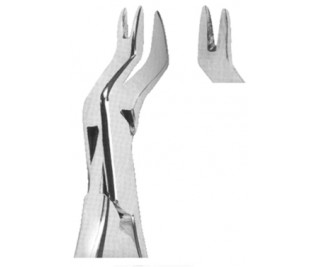Extracting Forceps American pattern